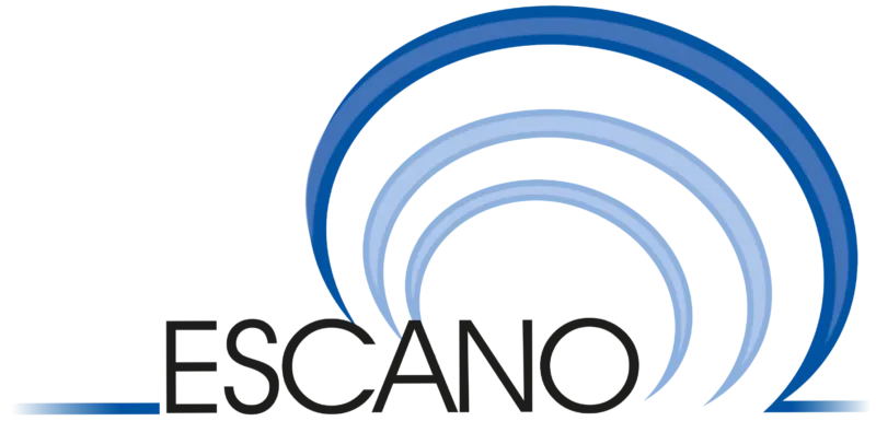 Escanografia Neurologica